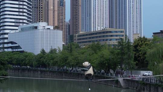 成华公园锦江高楼大厦熊猫走钢丝