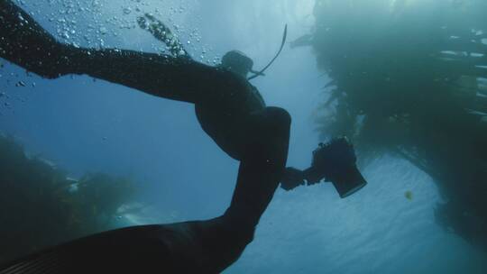 潜水员在海底浮潜视频素材模板下载