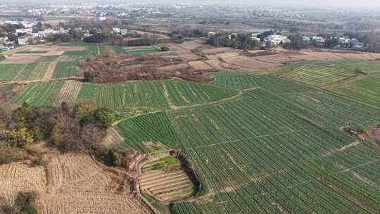 田野农田俯瞰景象