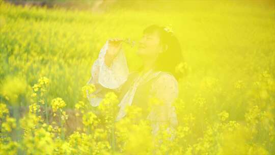 4K慢动作春天山野油菜花蜜蜂采蜜