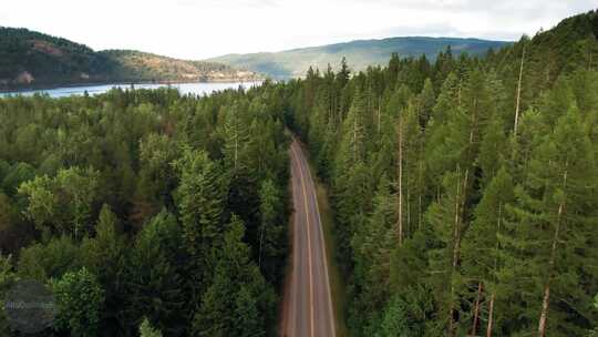 航拍绿色森林公路