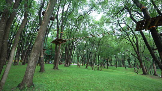 武汉东湖磨山风景区