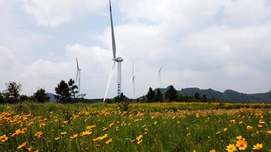 湖南官家嘴中南院风电场野花与风车延时摄影