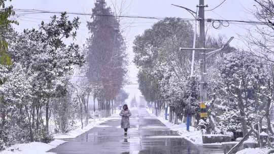 下雪雪景田野树木树枝雪花飘落视频素材模板下载