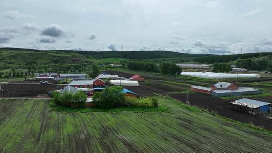 大兴安岭林区山村农户农家山里人家