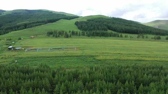 航拍草原森林 绿水青山 森林树木