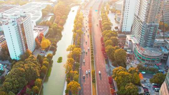 秋天城市道路秋色风景