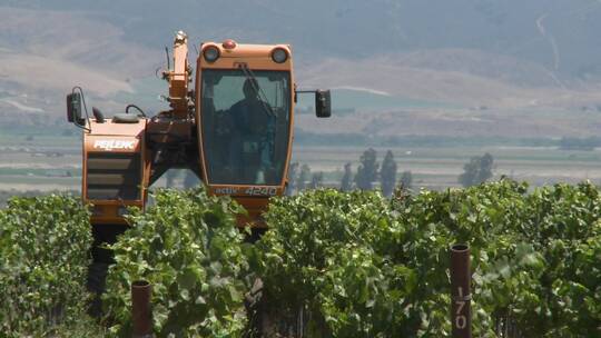 加利福尼亚州蒙特雷县葡萄园机械化耕作视频素材模板下载