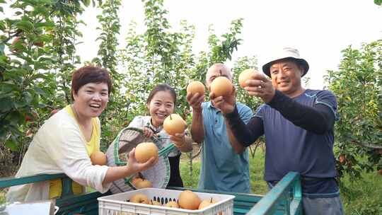 丰收喜悦 农民笑脸 果农笑脸