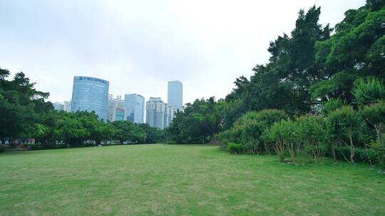 城市广场公园树林绿地草地草坪视频素材模板下载