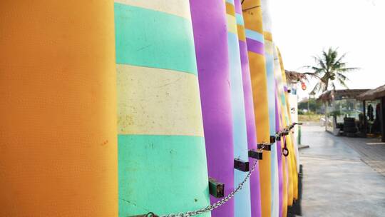 海边排列整齐的冲浪板