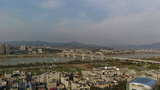 安康东坝汉江大桥航拍视频素材模板下载