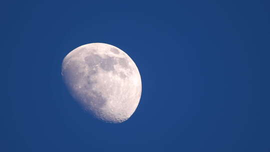 月亮 月球 夜晚 满月