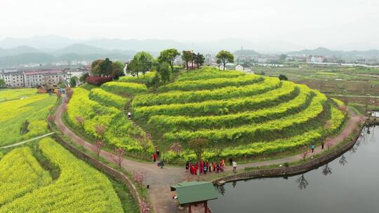 浙江东阳湖溪象田村油菜花海田园风光4K航拍