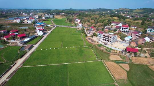 航拍稻田 航拍乡村 农田 新农村 乡村振兴