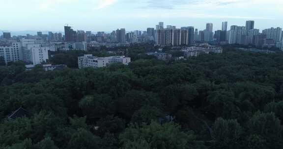 航拍傍晚雨后成都望江公园城市景观