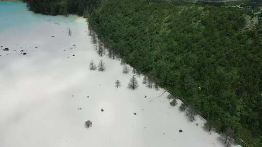 湖泊雪山高山森林树林蓝天白云航拍天空