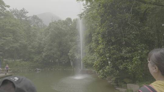 桐庐大奇山自然风景视频素材模板下载