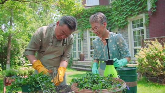 老年夫妇在院子里整理花土