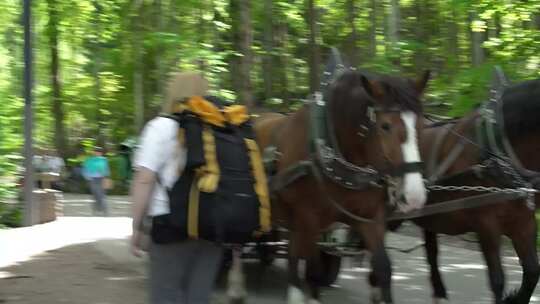 背包旅行，自然行、欧洲、马车、山间