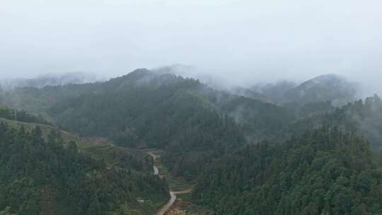 云雾缭绕的皖南山林景观全景