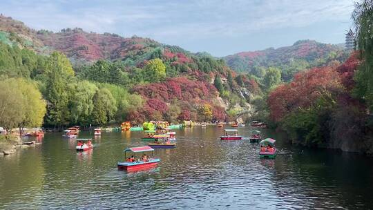 济南红叶谷景区，红叶满山迎来最佳观赏