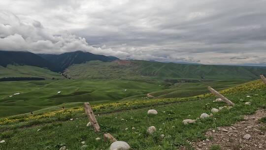 新疆草原牛羊天空风景空镜视频素材视频素材模板下载