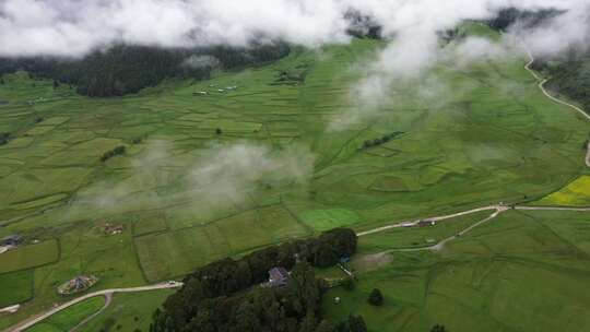 西藏 鲁朗 穿云 草原 云层 横移