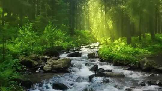 大自然风景宣传片泉水森林雨滴树木河流