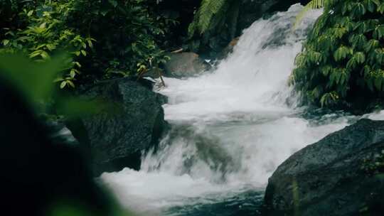 水大自然森林雨滴下雨树木溪流河水泉水树叶