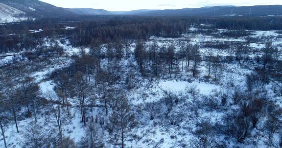 航拍大兴安岭冻土地带森林湿地雪景