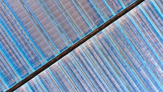 航拍大棚种植基地 农业