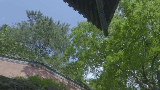 湖北武当山寺庙房檐仰拍地拍视频素材模板下载