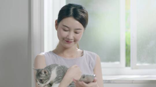 女人窗户抱猫视频素材模板下载