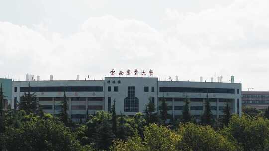 云南农业大学老校区正门航拍4K实拍