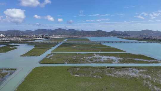 惠州盐洲海洋湿地公园-红树林湿地风光