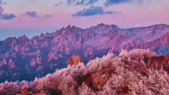 青岛雪景崂山雪景