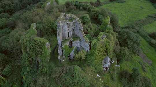 城堡，堡垒，废墟，Carrigogunn