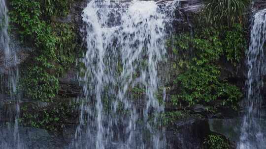 瀑布岩壁流水苔藓
