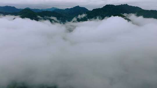 航拍森林云雾云海 秦岭山脉