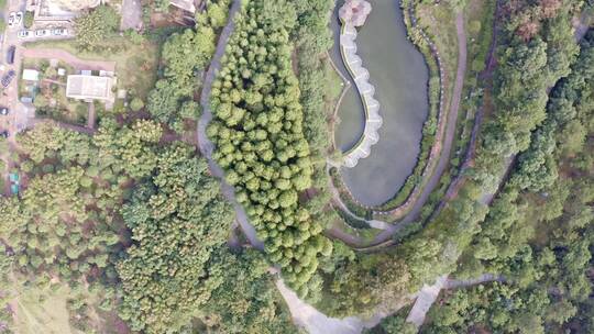 江西省新余市孔目江湿地公园视频素材模板下载