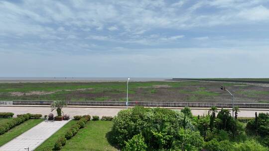 奉贤海岸滨海