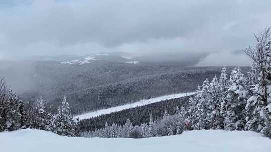 雪中的山脉和森林