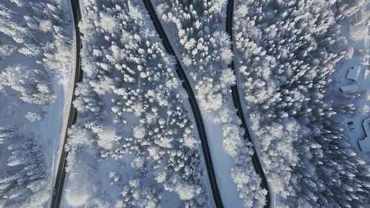 大雪雾凇森林雪景