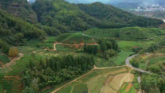 航拍春天茶山梯田武夷山燕子窠生态茶园