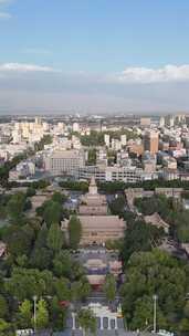 甘肃张掖大佛寺4A景区竖版航拍