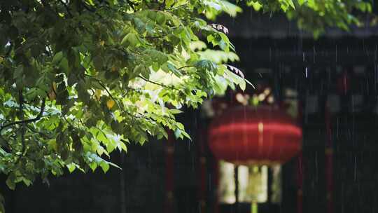 中式园林古建筑下雨屋檐滴水下雨视频素材模板下载
