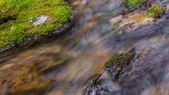 夏天绿色清澈小溪流水延时