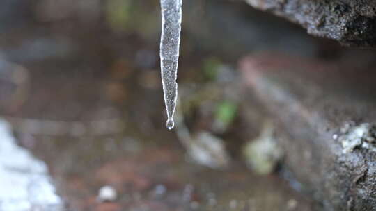 结冰 冬天 低温 结冰的水柱 寒冷
