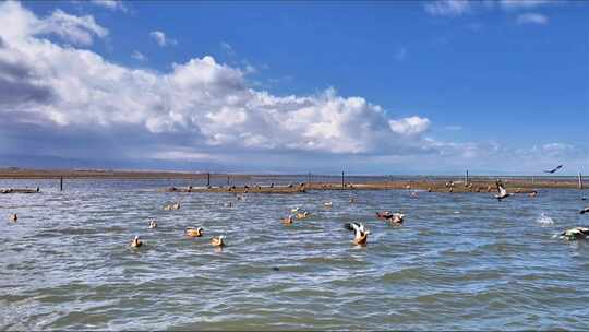 4k青海湖宣传片